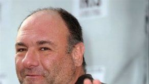 Murió la estrella de Los Soprano James Gandolfini (medios)