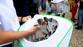 Liberan mariposas en honor de los 500 años de Fundación de la Ciudad
