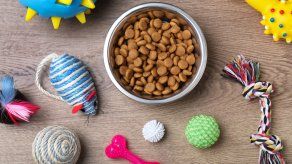 Aprovecha la diversidad de opciones para juguetes para tu mascota.