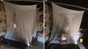 El olor de los pollos repele a un mosquito que transmite la malaria en África