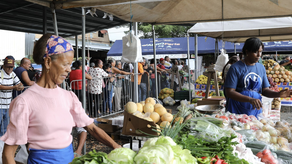 Agroferias con productos a bajo costo.