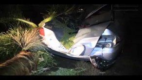 Caída de árboles y desprendimiento de techos deja vendaval