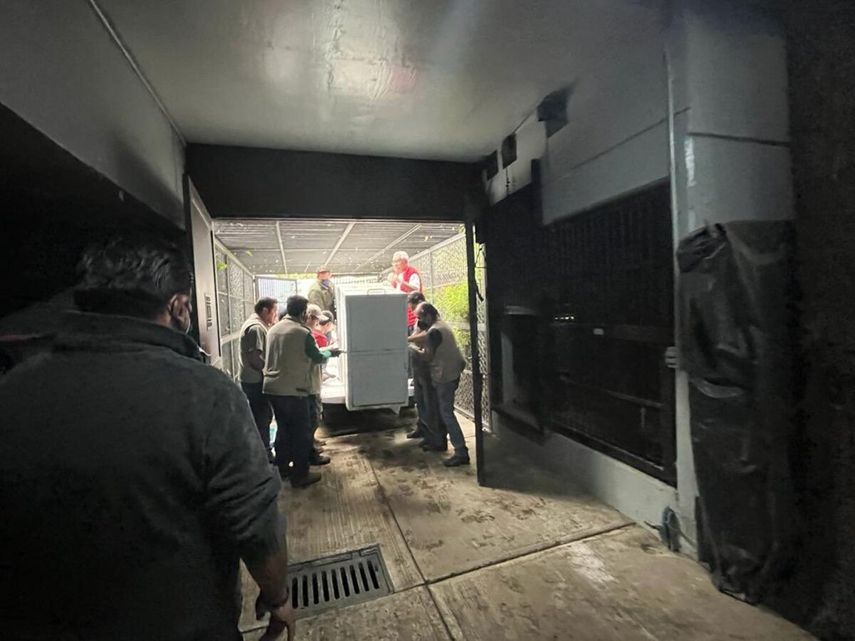 En el refugio fueron contabilizados hasta el momento 202 animales