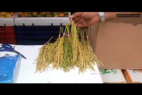 Las tradiciones para recibir el Año Nuevo
