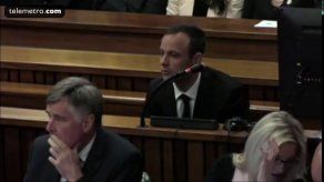 Fiscal llama a Pistorius egoísta y falso