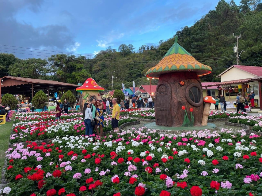 Feria de las Flores y del Café de Boquete.