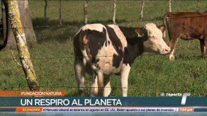 Fundación natura