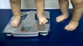CSS: 1 de cada 4 niños de entre 5 y 9 años tiene problemas de obesidad