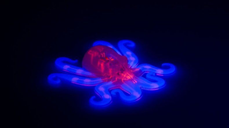 Crean Octobot, un robot suave y barato