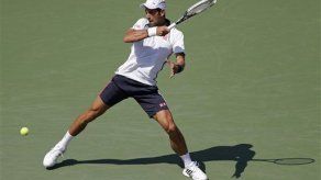 Djokovic y Ferrer avanzan en el US Open