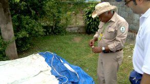 Minsa crea Pokeparada en Parque Omar contra “Pokemosquito” transmisor del dengue