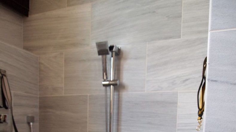 Construyen casas con suites especiales para perros