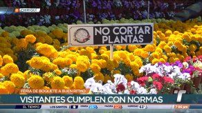 Feria de Boquete avanza a buen ritmo