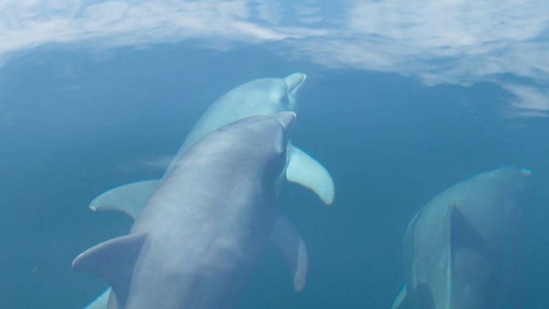 lauramay-collado.com