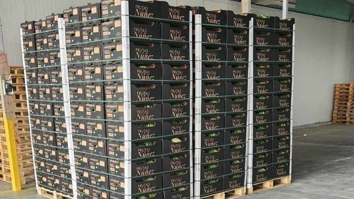 Empresa de Coclé exporta sandías con destino a Holanda