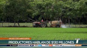 MIDA y arroceros enfrentados por millonaria deuda