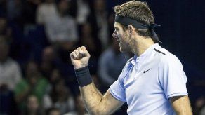 Del Potro y Federer se topan en la final en Basilea