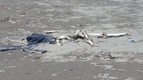 @SENANPanama @SENANPanama