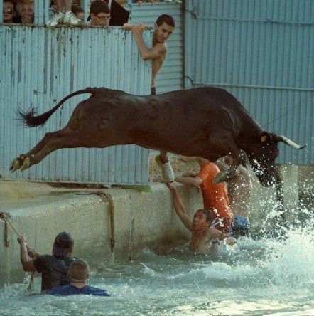 Imágenes impactantes de la semana
