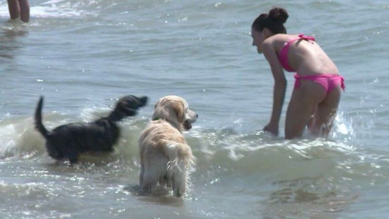 La increíble playa para perros de Roma