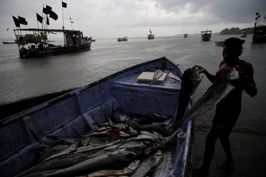 Los pescadores artesanales que se registren podrán recibir un bono mensual de B/.400.00.