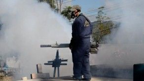 Temor ante el zika y su nexo con microcefalia en bebés