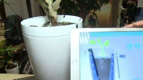 La internet personalizada es el corazón de muestra electrónica CES