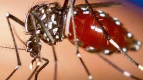 Colombia alerta ante virus chikungunya