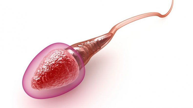 Británica pide a la Justicia poder recoger esperma de su pareja en coma