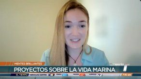 Mentes Brillantes: Callie Veelenturf