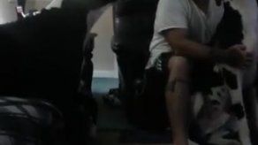 Gran Danés celoso