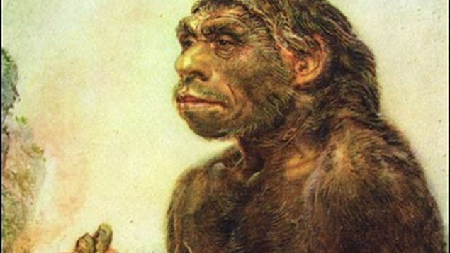 Los neandertales crearon las primeras joyas humanas hace 130.000 años