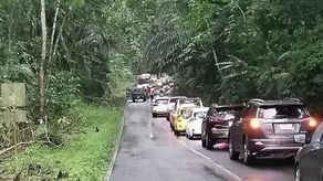 &nbsp;Avenida Forestal será arreglada por el MOP.