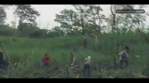 Madera Cocobolo es vendida a B/60.00 dólares el pie en China