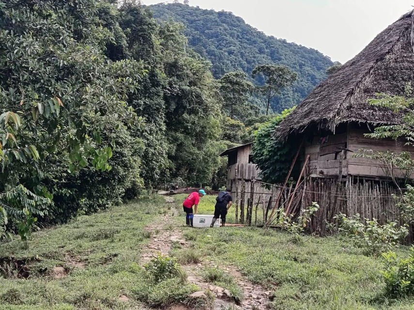 MINSA contiene brote de tos ferina en Besikó