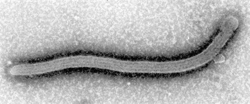 Surge brote de ébola en Uganda