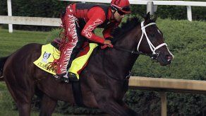 Classic Empire es el favorito de apuestas para el Derby