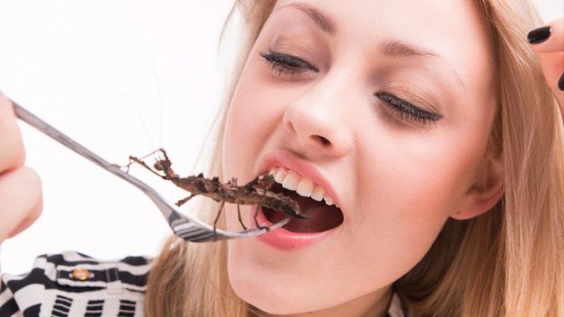 3 lugares del mundo donde los insectos son comida