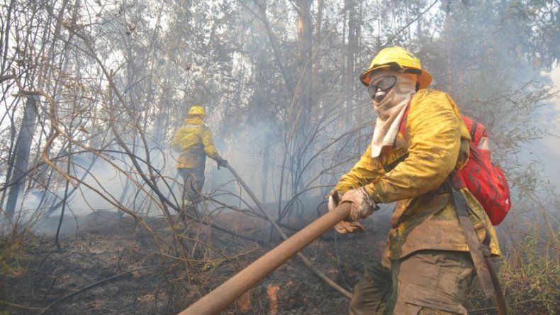 Expertos asocian devastación del fuego en Chile a la desregulación forestal