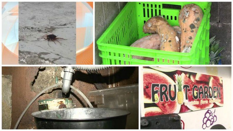 Sancionan a negocio de frutas en Chanis tras detectar roedores, cucarachas y dormitorio