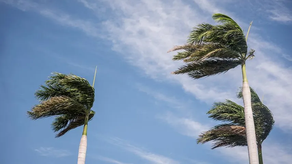 El IMHPA advierte un desorden climático.