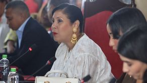 Representante del corregimiento de Ancón. Representante del corregimiento de Ancón.