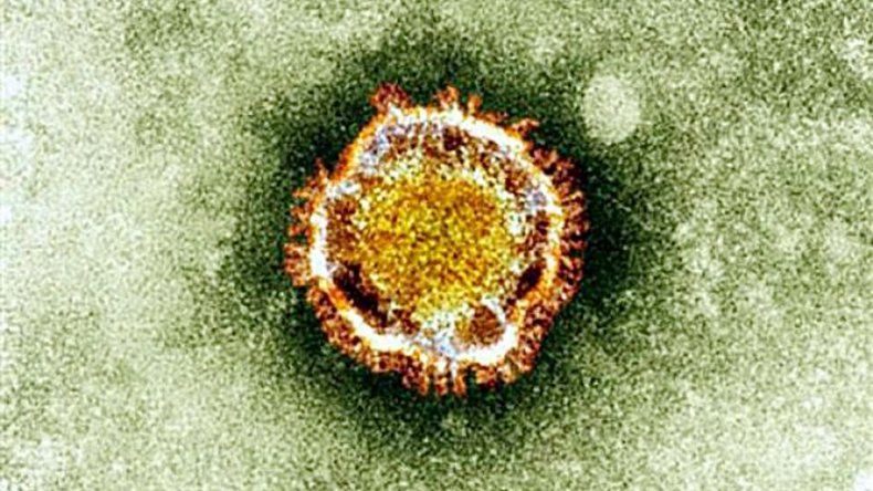 Cinco muertos por coronavirus en Arabia Saudí