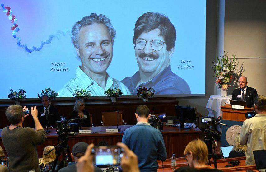 Premio Nobel de Medicina 2024 es para Victor Ambros y Gary Ruvkun