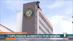 Ausentismo legislativo: algunos diputados tienen más ausencias y licencias que asistencias al Pleno
