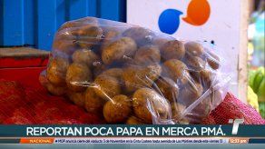 Vendedores de Merca Panamá denuncian dismunición en el abastecimiento de papa