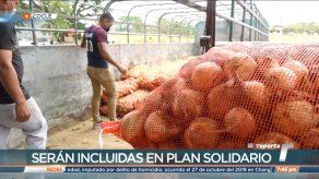 Gobierno compra cebollas a productores afectados por inundaciones