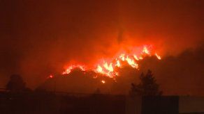 Evacuan una central térmica en Turquía amenazada por incendio