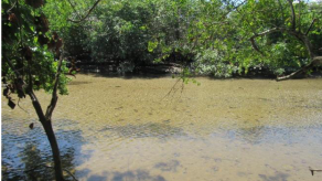 Revelan los puntos autorizados para extracción de agua durante el Carnaval 2017