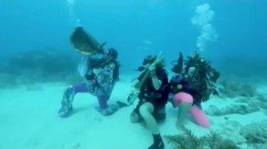 La música suena bajo el mar en Florida